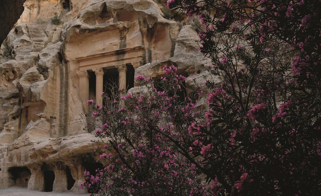 Moevenpick Resort Petra Ваді-Муса Екстер'єр фото The rock-cut tomb of King Herod the Great